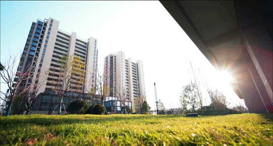 image017.gif